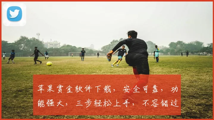 苹果赏金软件下载，安全可靠，功能强大，三步轻松上手，不容错过