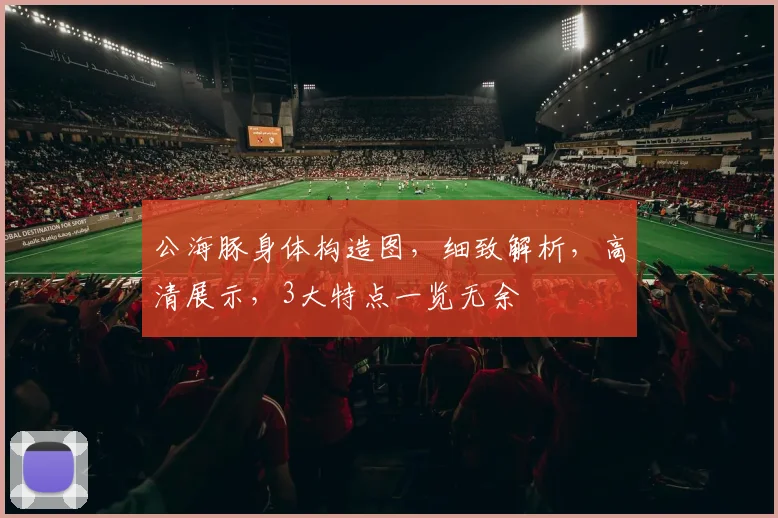 公海豚身体构造图，细致解析，高清展示，3大特点一览无余