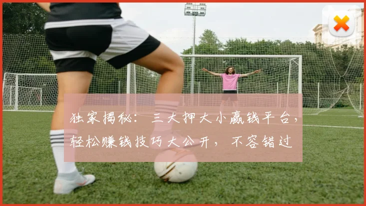 独家揭秘：三大押大小赢钱平台，轻松赚钱技巧大公开，不容错过