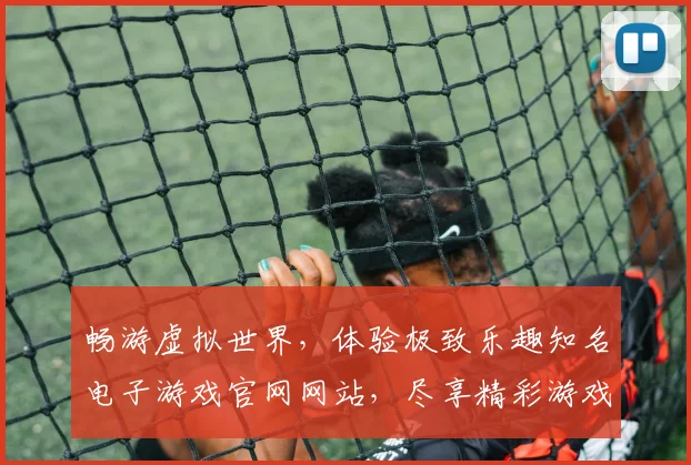 畅游虚拟世界，体验极致乐趣知名电子游戏官网网站，尽享精彩游戏时光